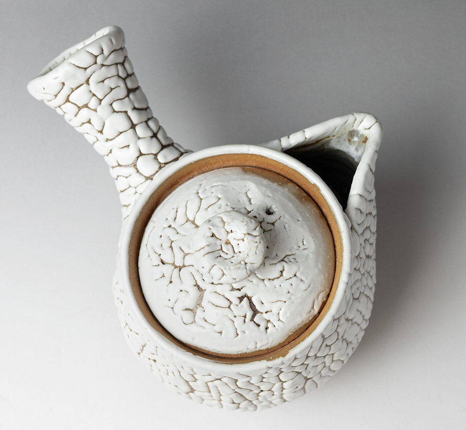 White kairagi kyusu teapot by Mukuhara Kashun, top view