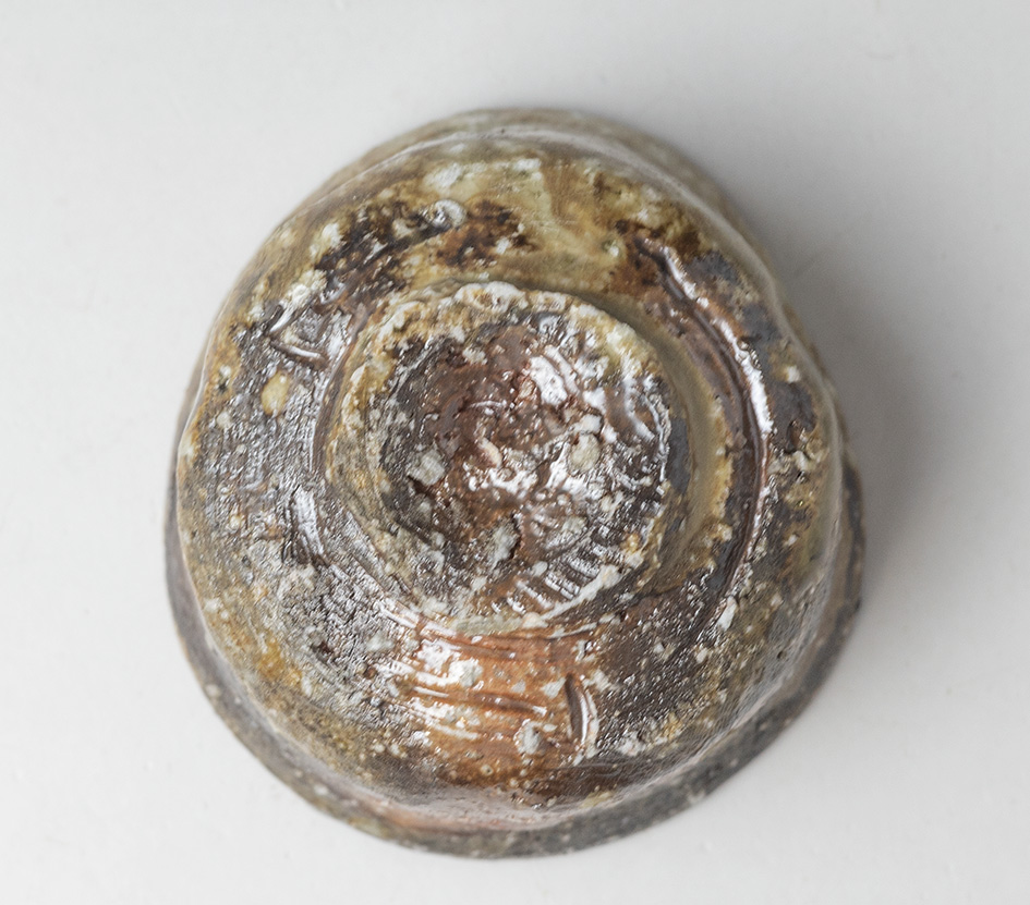 Shigaraki guinomi sake cup #61, bottom view