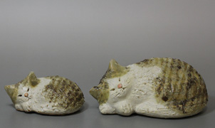 Shigaraki sleeping cat