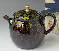 Tokoname kyusu teapot