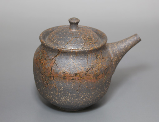 Tanikawa Jin Houhin Teapot